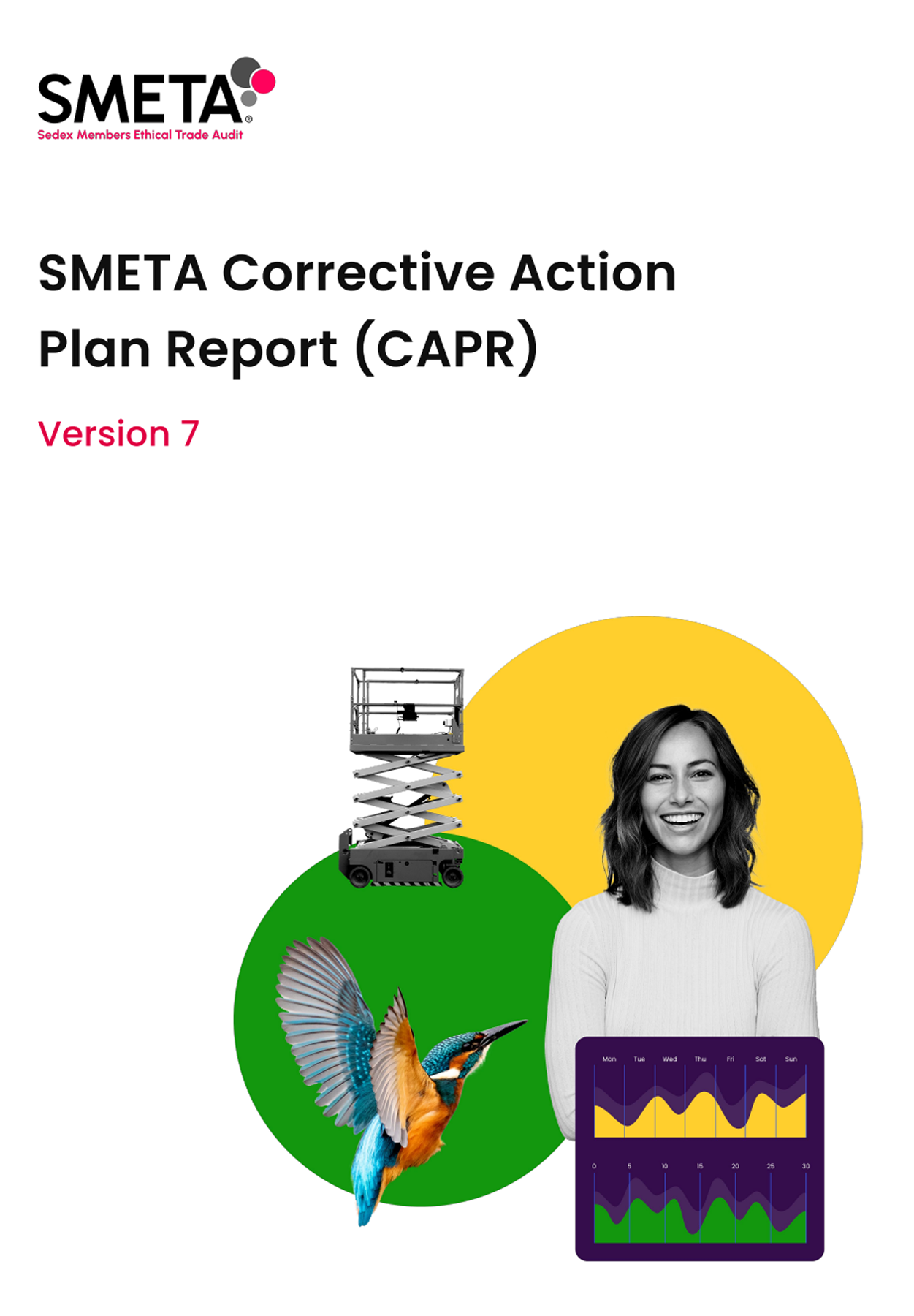 SMETA Report Document
